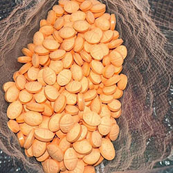 Adderall IR